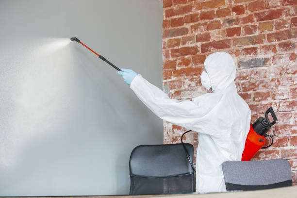 Best HVAC Mold Inspection and Cleaning  in Edgewood, KY