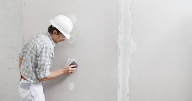 Best Air Quality Testing for Mold Spores  in Edgewood, KY
