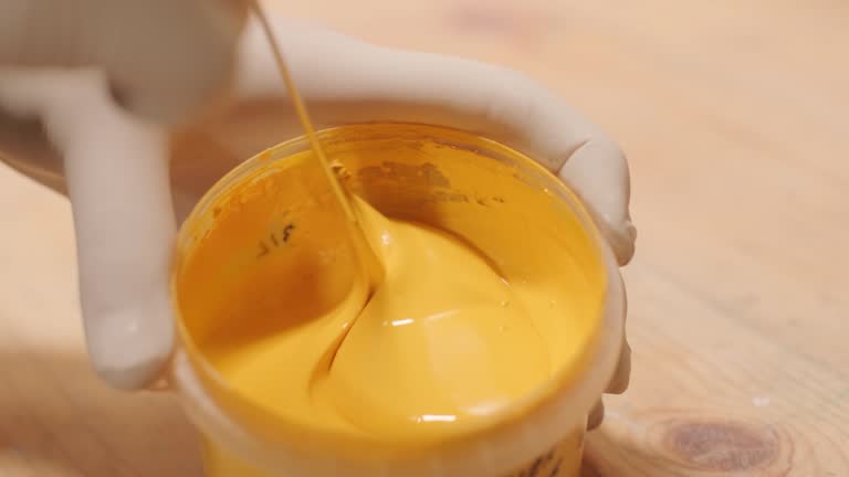 Trusted Edgewood, KY Mold Removal Experts