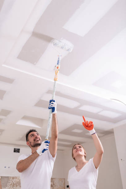 Best Attic Mold Removal  in Edgewood, KY
