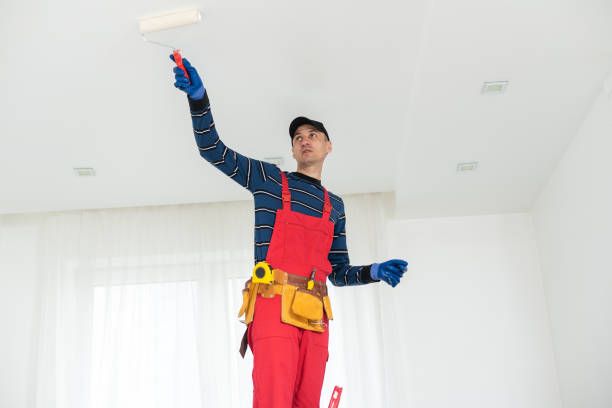 Best Emergency Mold Remediation  in Edgewood, KY