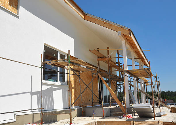 Best Mold Damage Restoration  in Edgewood, KY