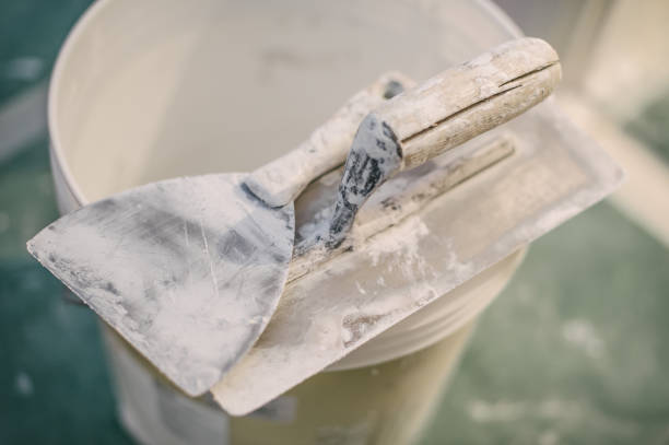 Best Commercial Mold Inspection  in Edgewood, KY
