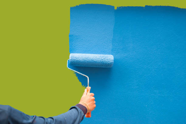Best Mold Removal for HVAC Installations  in Edgewood, KY
