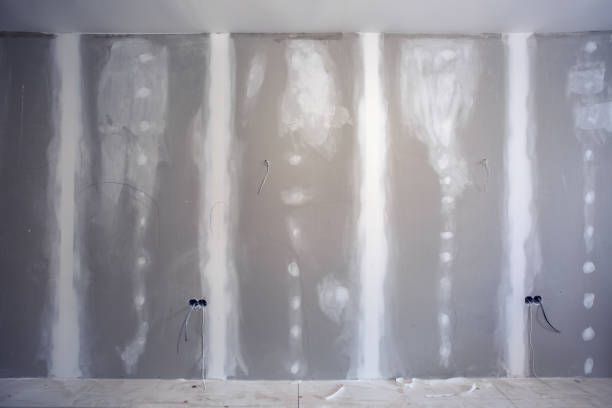 Best Forensic Mold Investigation  in Edgewood, KY